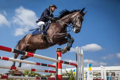 Bigger view of Paarden en ezels